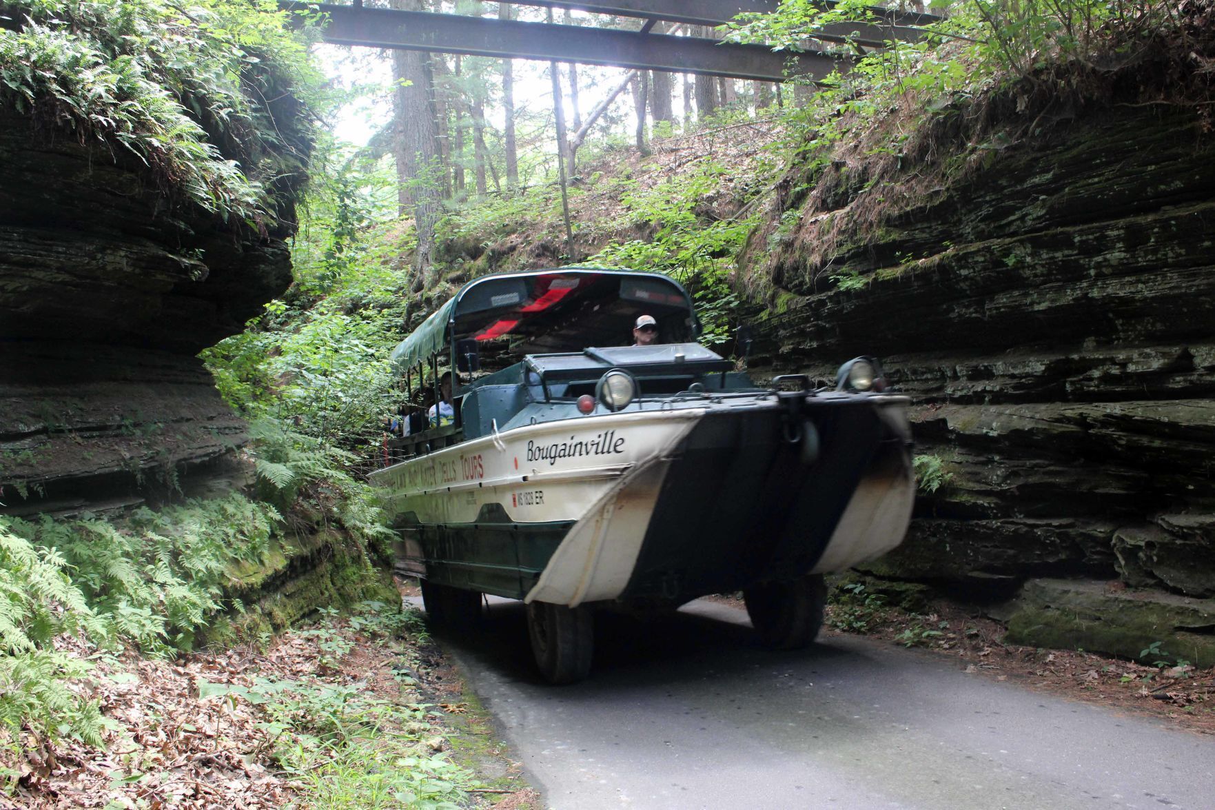 Original Wisconsin Ducks on Red Bird Gorge